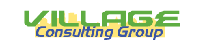 Village Consulting Group - Internet Consultants
